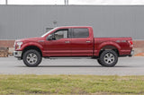 2 Inch | N3 Loaded Strut | Ford F-150 4WD (2014-2025)