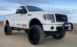 BLACK BULL BAR | ECO BOOST | FORD F-150 ECO BOOST 2WD/4WD (11-22)